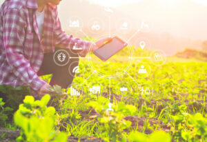 Foragecaster project launched to help producers