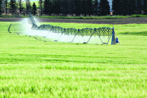 Price cap inquiry source of irritation for irrigators