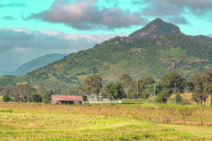 Preparedness and resilience targeted in new drought assistance grants