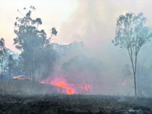 Heatwave and bushfire – the weekend in the Fassifern