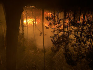 Wildfires, heavy fuel loads and climate change