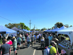 Amazing atmosphere, fantastic volunteers help break all Country Day records