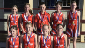 Fassifern netball teams share in Scenic Rim carnival success