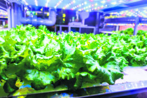 Up, up and away ag goes