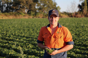 Cottoning on, new technology at ‘commercial ready’ stage