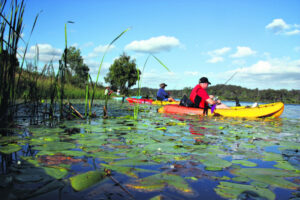 Multiple South East Queensland representatives in Freshwater Fisheries Working Group