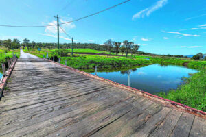 Scenic Rim records record works carry forward