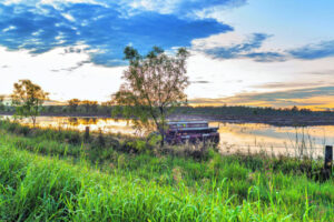 Grants help primary producers to clear illegal waste