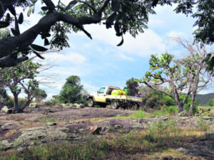 Lightning strike causes bushfires along Burnetts Creek fence line