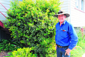 Firies need rain and answers to combat fire season