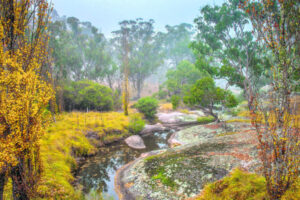 Views from beyond closed borders