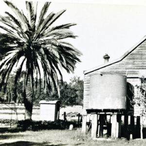 The Beauty of Life – At Your Convenience