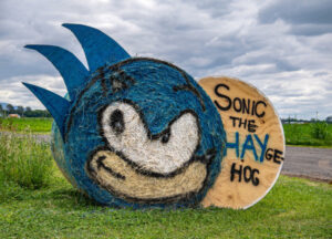 Kooky bales showcase rural humour
