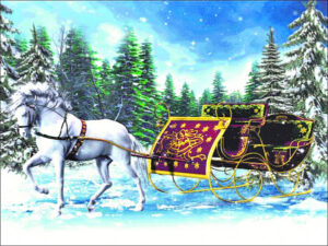 The Beauty of Life – I’ve Done my Dash