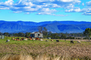 Scenic Rim not rural says Feds