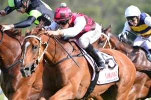 Horses, people give Beaudesert trainer joy