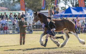 From Biggar to Boonah, cold call brings Scotsman to Scenic Rim