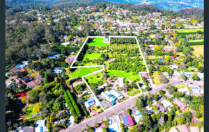 Council to sell vineyard and winery