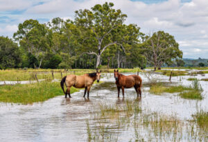 Three month rainfall totals nudge annual average