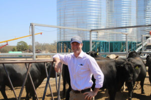 Red Boer bucks national price record selling for $12,000