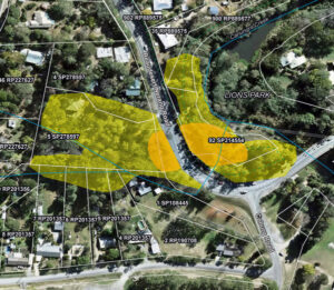 Flying fox roost ‘migration’ plans released