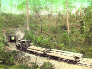 Flood recovery work makes headway at historic tramway site