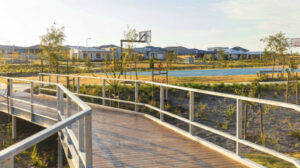 Ecco Ripley given 5-star green star rating