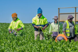 Soaring costs put pressure on primary producers