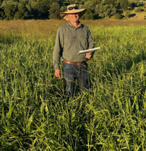 Pasture dieback link, trial finds pest the biggest threat
