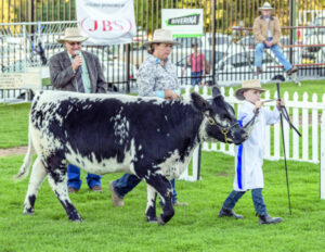 Multi-million-dollar grant round for regional Shows