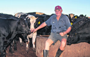 Dairy industry leaders make strides towards meat diversification