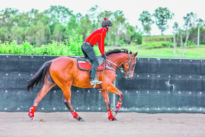Hard work and learning drive Phil’s horse journey