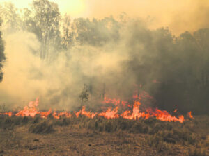 Friday morning: Conditions near the fire front