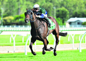 Beaudesert trainer with happy approach