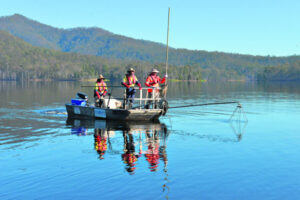 Electro-survey turns up only one cod