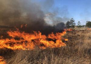Hazard reduction burn at Mt Alford
