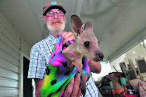 Scenic Rim pensioner’s invention to move dead roos, save joeys