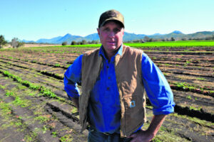 Grower calls for irrigation scheme to expand, rather than intensify