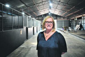 Kalbar packing shed transformed into boutique equine rehabilitation centre