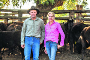 World class wagyu a cut above the rest