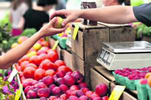 Lockdown support for Queensland businesses