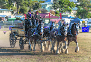 Haggis, horses and exquisite equine entertainment
