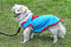 Fassifern Police 13th November 2024