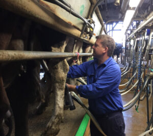 Jon Krause to run again for Scenic Rim