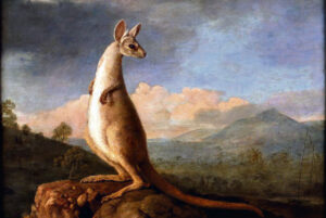 The horse, the painter and the kangaroo