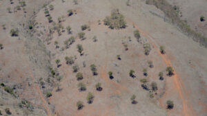 Inigo Jones and the Temple of Drought