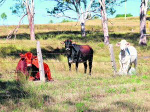 National Farm Safety week dispels myths around ‘young’ farming fatalities