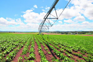 Prices revealed as unprecedented Moogerah water auction goes live