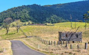 Farmers paid to manage remnant vegetation, capture carbon
