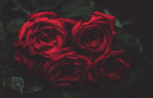 In loving memory of Audrey Chapman (Mum, Nanny, Ma)